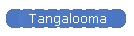 Tangalooma