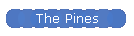 The Pines
