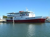 Big Cat Reality - Reality Cruises