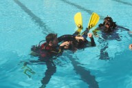 Neil Harris observes a rescue exercise in the pool.