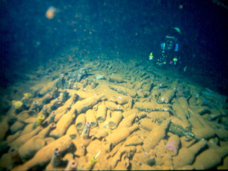 Andrew Whitehead, dive writer and recreational diver