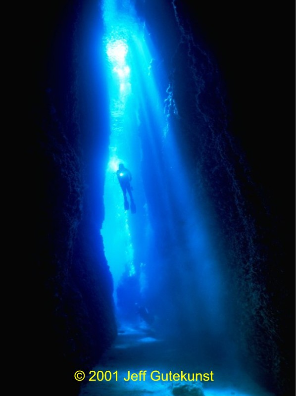 The Cathedral at E6, Vatu-i-ra Channel, Bligh Water, Fiji. Image by Jeff Gutekunst