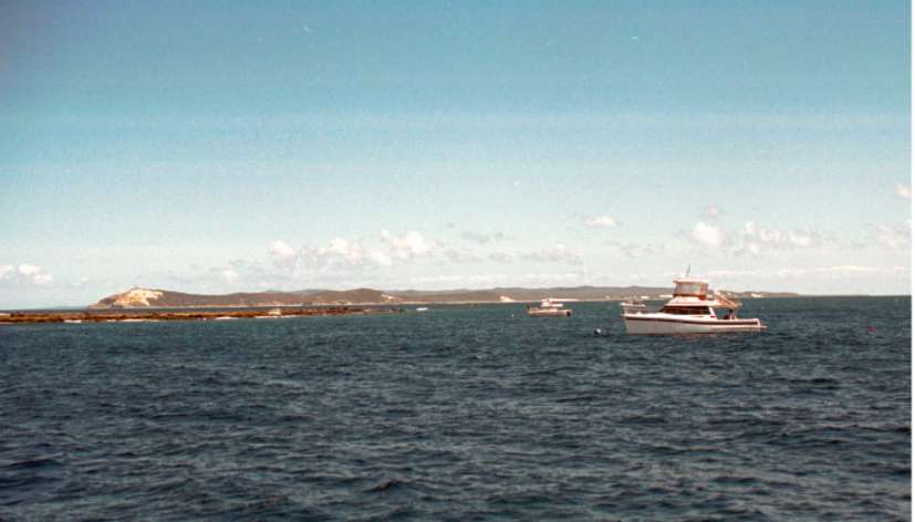 Flinders Reef, 5 km north of Cape Moreton, near Brisbane, Queensland