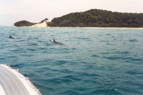 Point Lookout, North Stradbroke Island, near Brisbane, Queensland