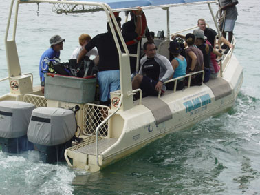 The Aussie divers depart in the 7.5 metre Orca dive boat “Vuselela”.