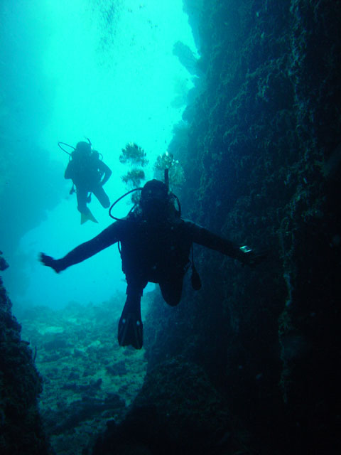 Divers enter the dimly lit Leru Cutting in the West Russells.