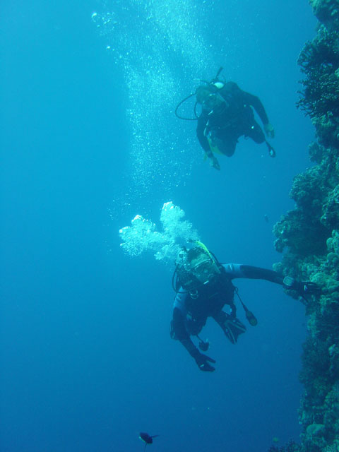 Divers drift along the Leru Wall.