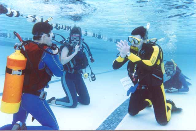 Neil Harris teaching students in the pool.