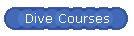 Dive Courses