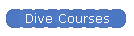 Dive Courses
