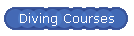 Diving Courses