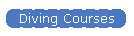 Diving Courses